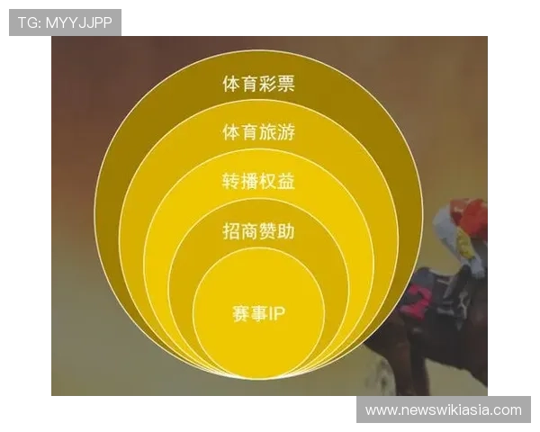 三亿体育如何实现用户体育数据的精准分析与个性化推荐